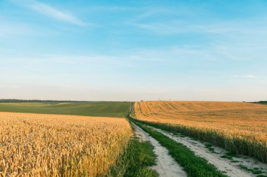 Sarı Alan ve Güzel Gün Batımı