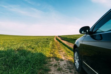 Ayçiçeği tarlasında toprak bir yolda araba ve güneş ışığıyla buğday.