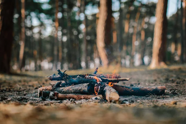 Odunlu Ateş Vahşi Doğada Ateş Taşlarla Birlikte — Stok fotoğraf