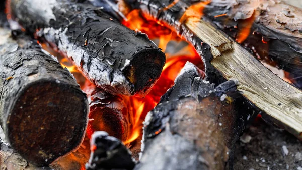 Odunlu Ateş Vahşi Doğada Ateş Taşlarla Birlikte — Stok fotoğraf