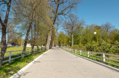 Yeşil Central Park, gün batımında. Yeşil Orman Doğal Manzara Şehir Parkı