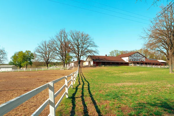 Horses on the Farm. horses grazing in a field with horse barn in the background.