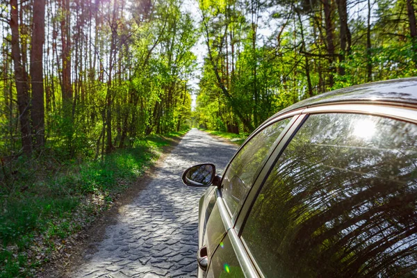 Carro Uma Estrada Asfalto Verão Floresta — Fotografia de Stock