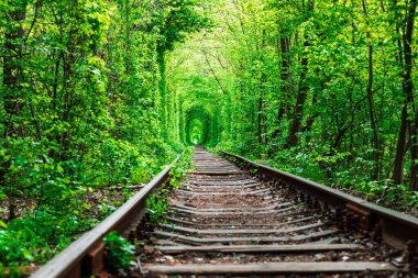 Bahar ormanı aşk tünelinde bir demiryolu.