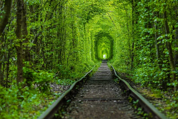 Uma Ferrovia Túnel Amor Floresta Primavera — Fotografia de Stock