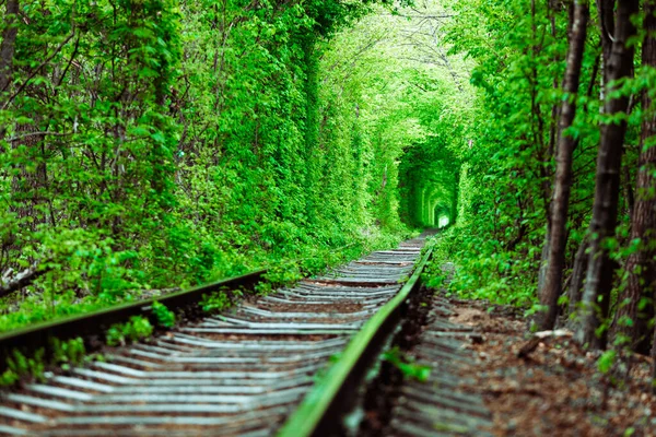 Een Spoorweg Het Voorjaar Bos Tunnel Van Liefde — Stockfoto