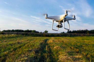 Dron kuad helikopteri yeşil mısır tarlasında
