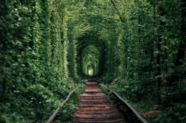Bahar ormanı aşk tünelinde bir demiryolu.