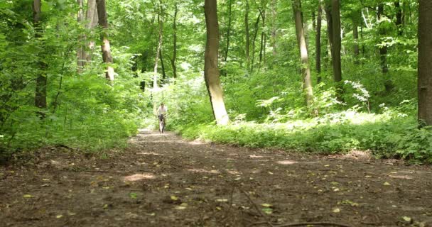 Mann mit Fahrrad im Wald unterwegs — Stockvideo