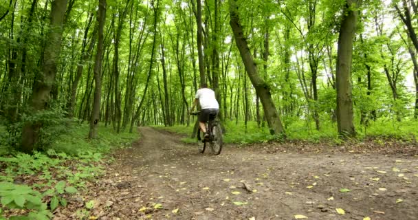 Homem andando de bicicleta na floresta — Vídeo de Stock