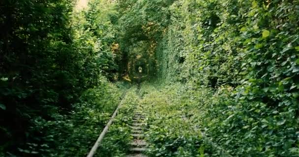 Eine Eisenbahn im Frühlingstunnel der Liebe — Stockvideo