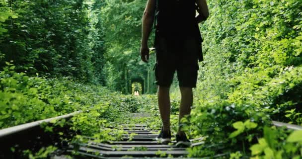 Un ferrocarril en el túnel del bosque de primavera del amor — Vídeos de Stock