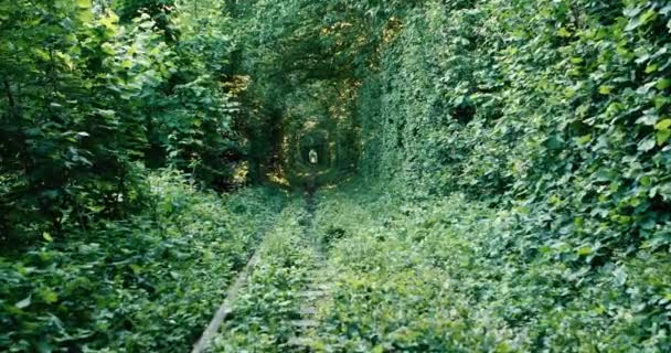 Een spoorweg in het voorjaar bos tunnel van de liefde — Stockvideo