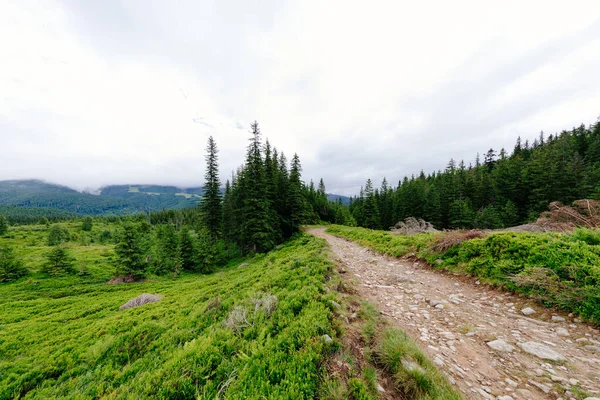 Montagne Colline Chemin Route Paysage Panoramique — Photo