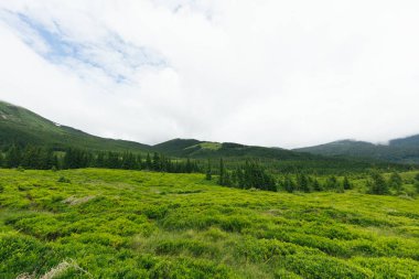 Dağ tepesi yolu panoramik manzara