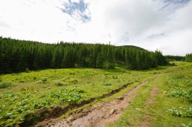 Dağ tepesi yolu panoramik manzara