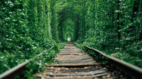 Chemin Fer Dans Tunnel Amour Forêt Printanière — Photo