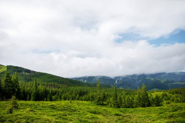 Dağ tepesi yolu panoramik manzara