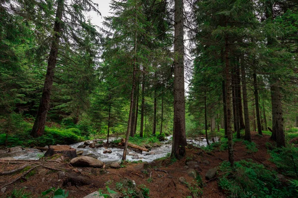 Krásný Horský Vodopád Stromy Pozadí — Stock fotografie