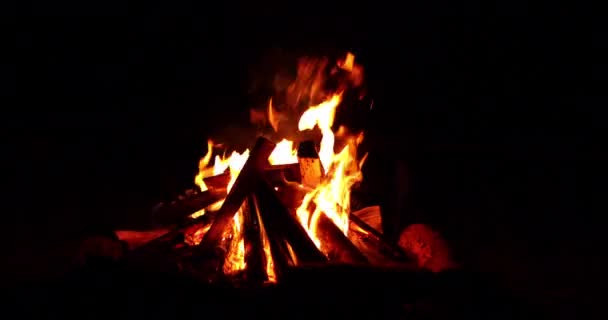 Quemando ramas en el fuego — Vídeos de Stock