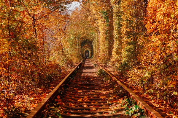 Liebetunnel Herbst Eine Eisenbahn Frühlingswald — Stockfoto