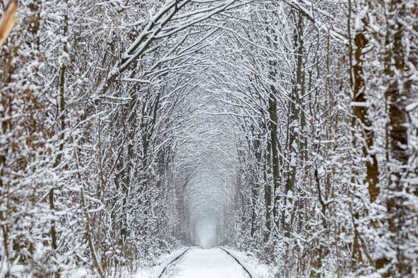 Chemin Fer Dans Tunnel Forestier Hivernal Amour Endroit Romantique — Photo