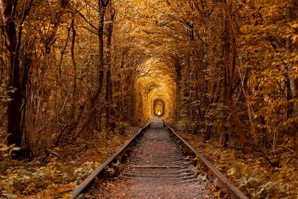 Liebetunnel Herbst Eine Eisenbahn Herbstwald Tunnel Der Liebe Herbstbäume Und — Stockfoto