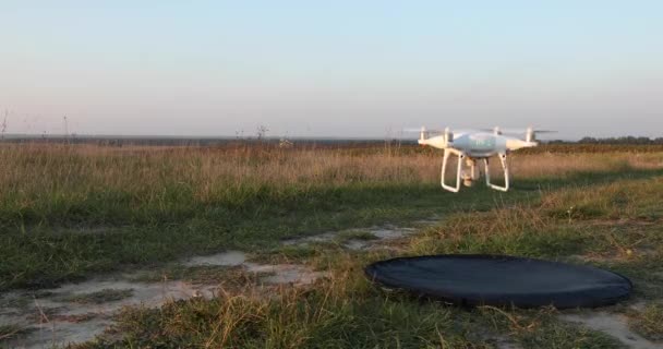 Dron en el campo — Vídeo de stock