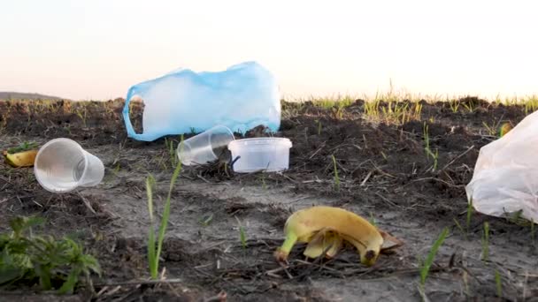 Chica voluntaria recoge basura en la bolsa de basura en la naturaleza — Vídeos de Stock