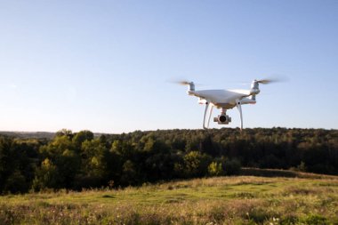Dron kuad helikopteri yeşil mısır tarlasında