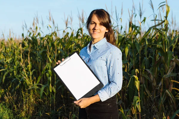 Mooi Meisje Agronomist Met Notitieboek Analyseert Maïs Gewas — Stockfoto