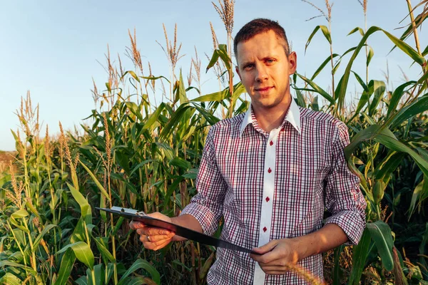 Jonge Agronomist Houdt Een Papieren Kaart Zijn Handen Analyseert Maïs — Stockfoto