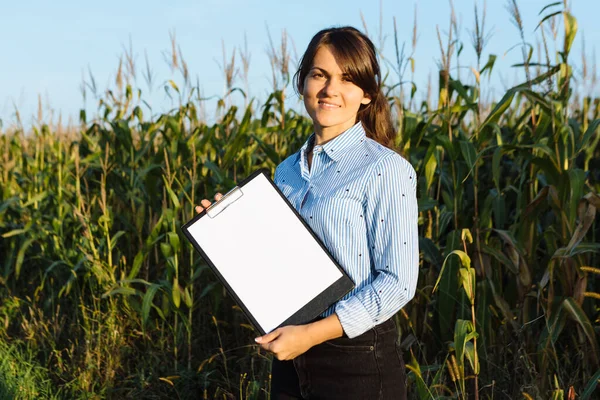 Mooi Meisje Agronomist Met Notitieboek Analyseert Maïs Gewas — Stockfoto