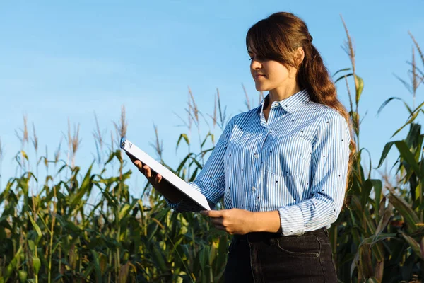 Mooi Meisje Agronomist Met Notitieboek Analyseert Maïs Gewas — Stockfoto