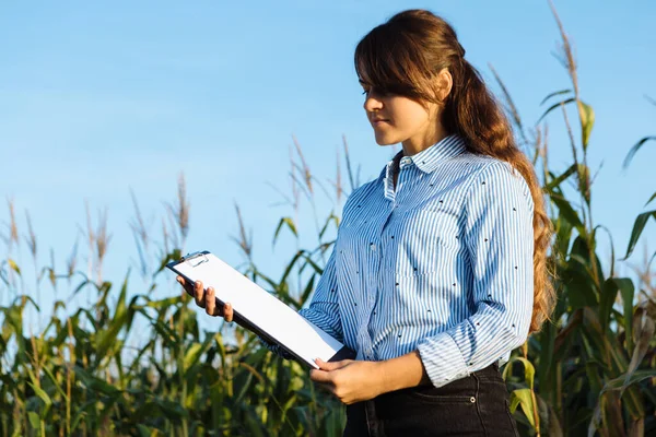 Mooi Meisje Agronomist Met Notitieboek Analyseert Maïs Gewas — Stockfoto