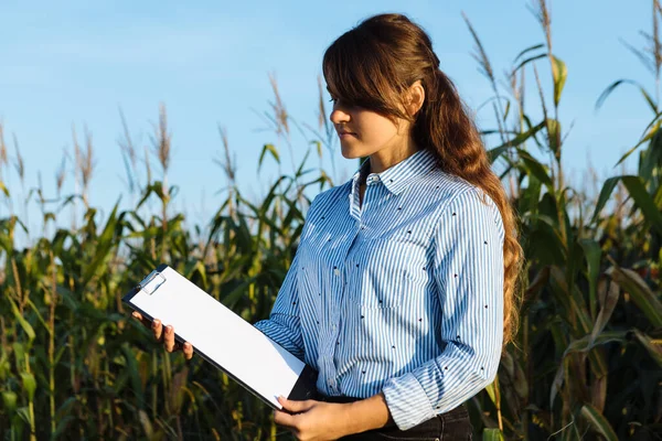 Mooi Meisje Agronomist Met Notitieboek Analyseert Maïs Gewas — Stockfoto