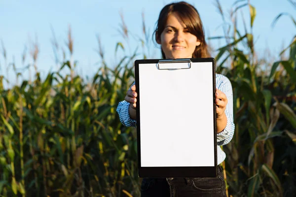 Mooi Meisje Agronomist Met Notitieboek Analyseert Maïs Gewas — Stockfoto