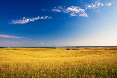 Mavi Cennet ile yeşil alan