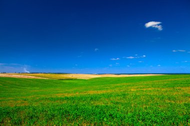 Çimen ve Gökyüzü