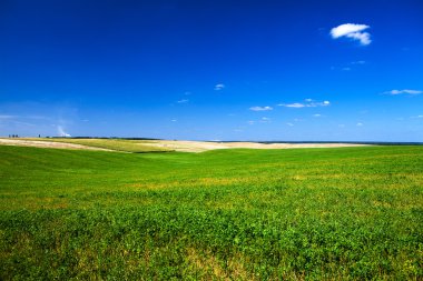 Çimen ve Gökyüzü