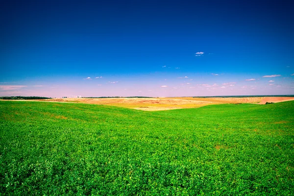 Çimen ve Gökyüzü — Stok fotoğraf