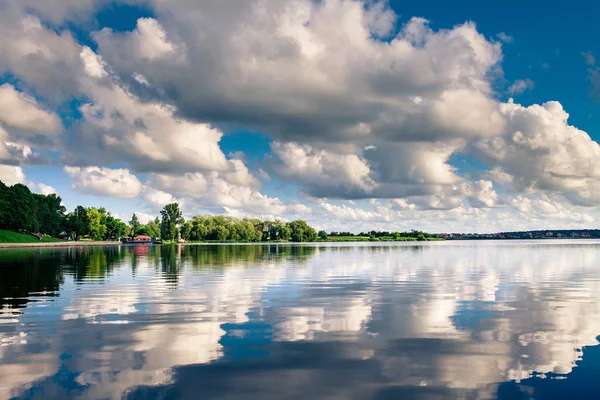 Forest and river — Stock Photo, Image