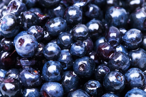 Fresh blueberry — Stock Photo, Image