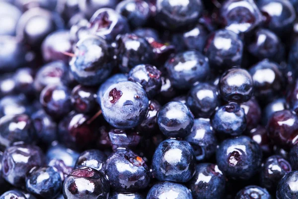 Frische Blaubeeren — Stockfoto