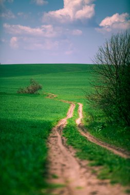 Mavi Cennet alanıyla