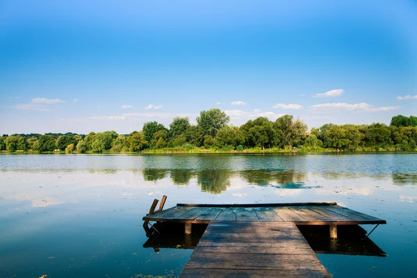 Foresta e fiume — Foto Stock