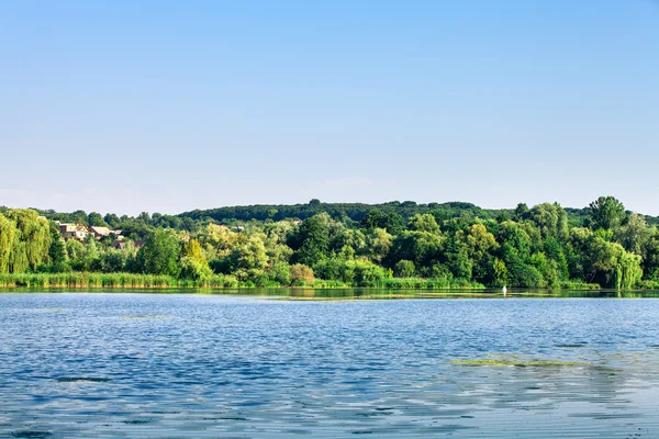 Foresta e fiume — Foto Stock