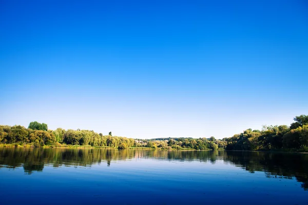 Forest and river — Stock Photo, Image