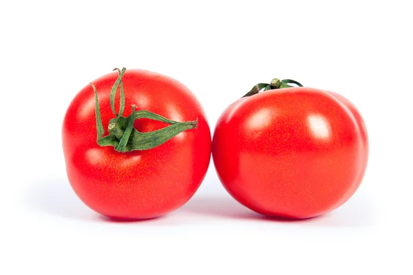 Tomato isolated — Stock Photo, Image