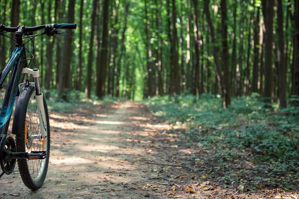 Mountainbiken — Stockfoto